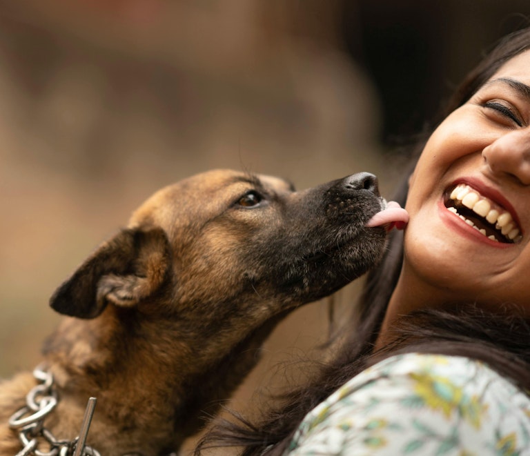 NB SPCA | NBSPCA Expands Happy Tails Program to Include Emergency Care